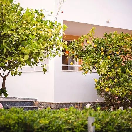 Apart-hotel Primavera Paradise