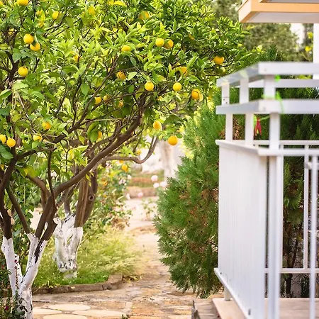 Primavera Paradise Agios Nikolaos