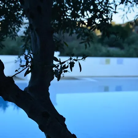 Primavera Paradise Apart-hotel